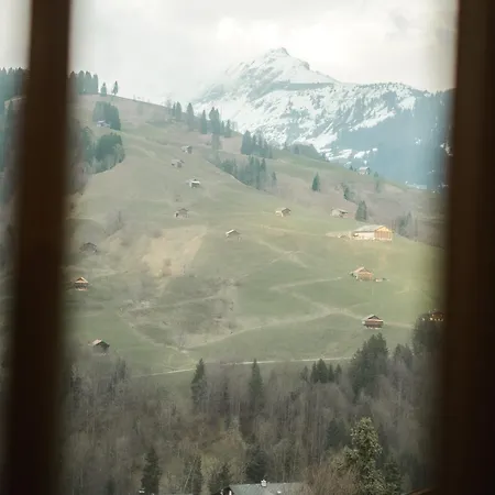 Alphorn Chalet By Carista Homes Habkern